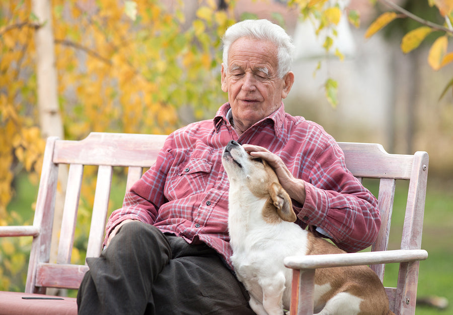 Tips for Seniors: Benefits of Pet Companions for Seniors